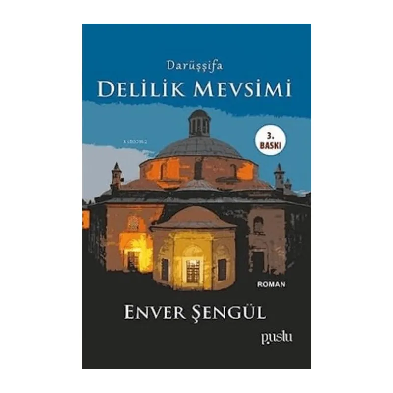 Darüşşifa - Delilik Mevsimi