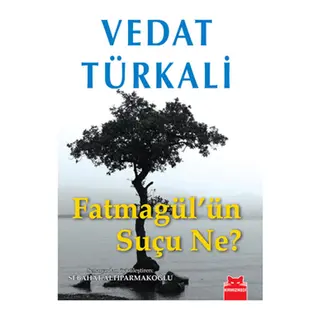 Fatmagül'ün Suçu Ne?