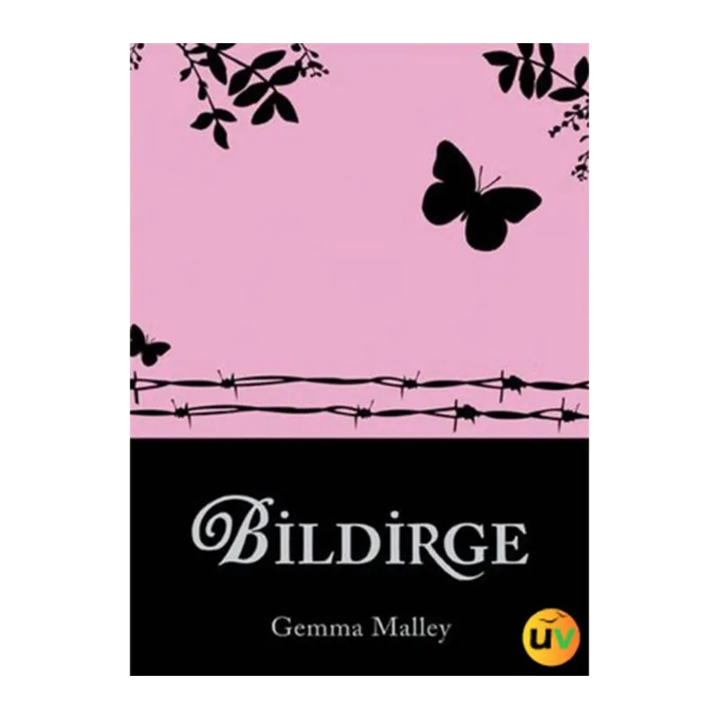 Bildirge