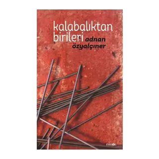 Kalabalıktan Birileri (Ciltli)