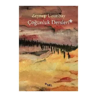 Çoğunluk Dersleri