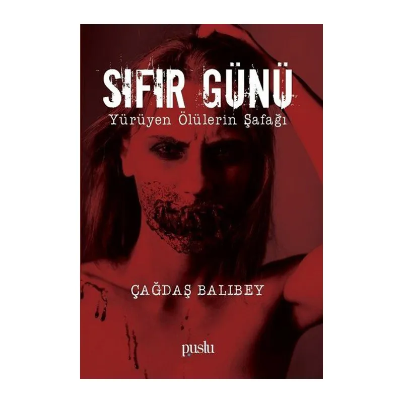 Sıfır Günü