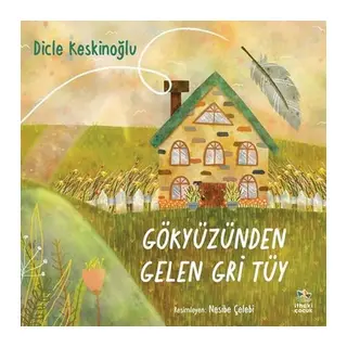 Gökyüzünden Gelen Gri Tüy