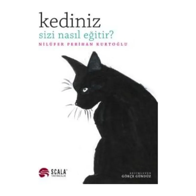 Kediniz Sizi Nasıl Eğitir
