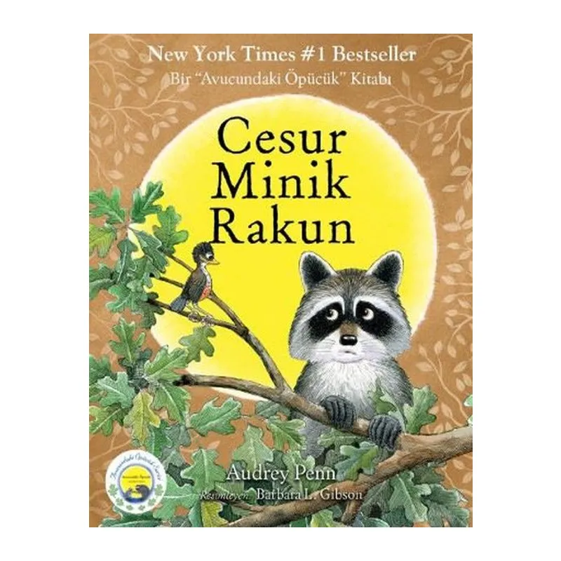 Cesur Minik Rakun