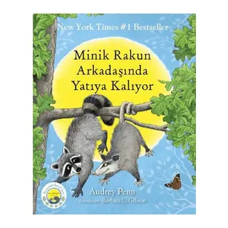 Minik Rakun Arkadaşında Yatıya Kalıyor