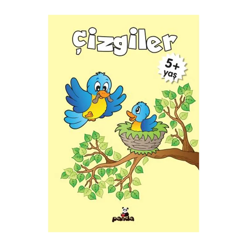 Çizgiler 5 Yaş
