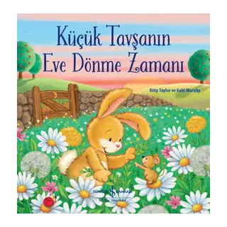 Küçük Tavşanın Eve Dönme Zamanı