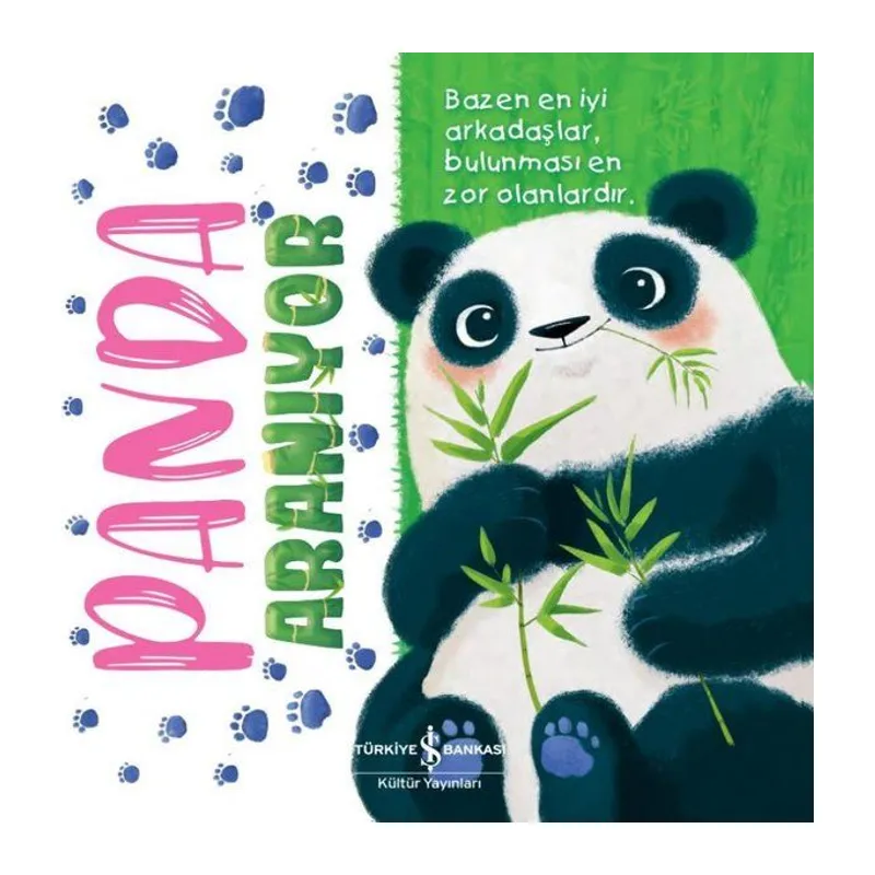 Panda Aranıyor