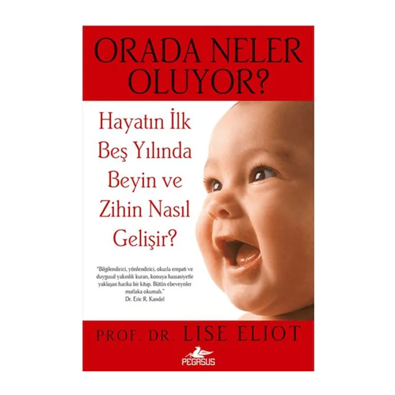 Orada Neler Oluyor