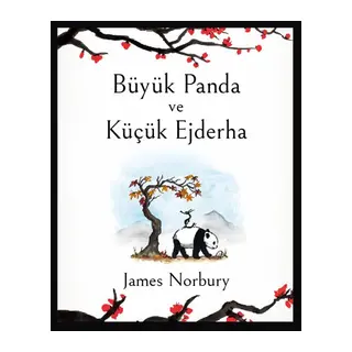 Büyük Panda ve Küçük Ejderha
