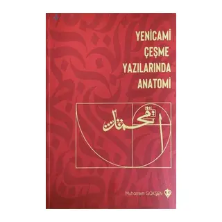 Yenicami Çeşme Yazılarında Anatomi