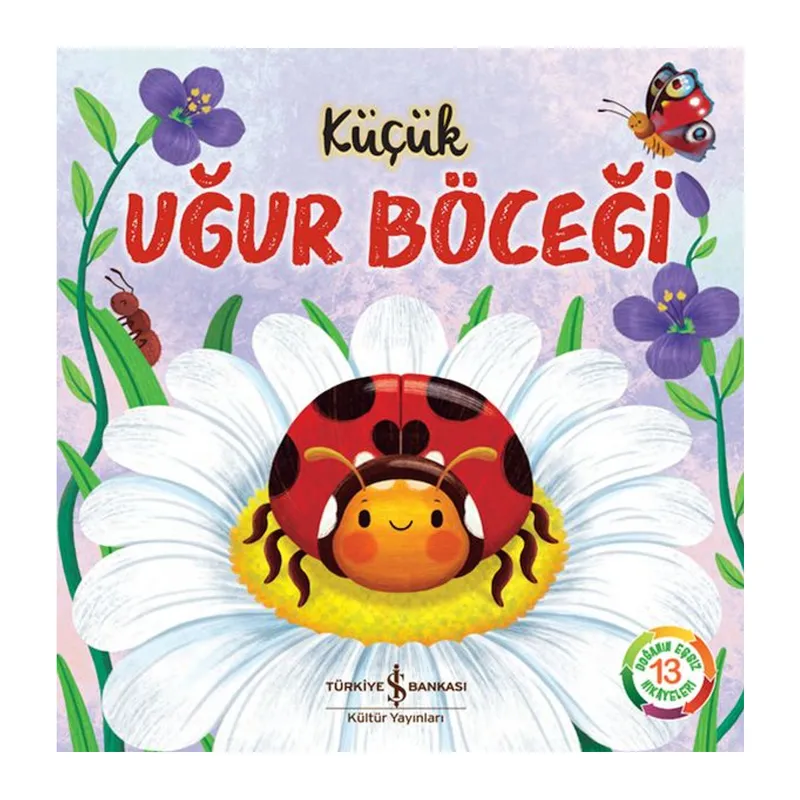 Küçük Uğur Böceği - Doğanın Eşsiz Hikayeleri 13