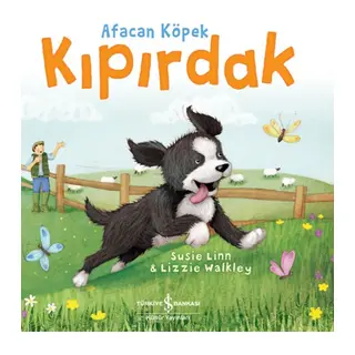 Afacan Köpek Kıpırdak