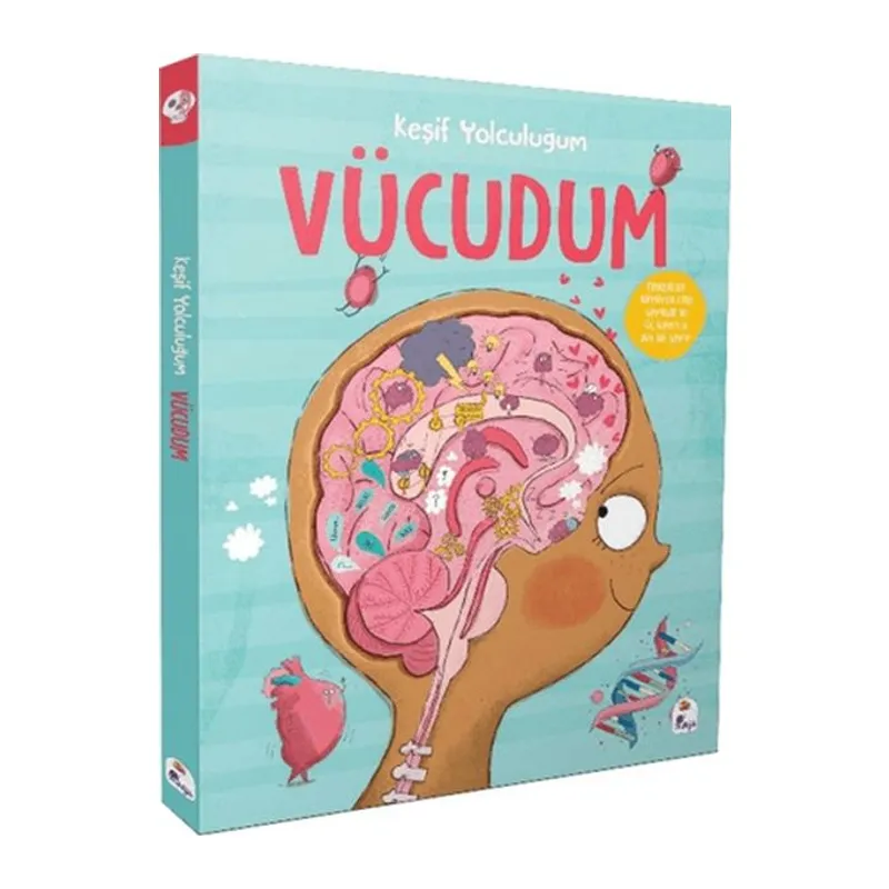 Keşif Yolculuğum – Vücudum