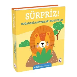Sürpriz! - Doğadaki Hayvanları Tanıyorum