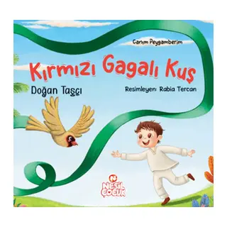 Kırmızı Gagalı Kuş