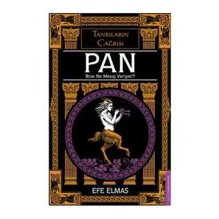 Pan Bize Ne Mesaj Veriyor?