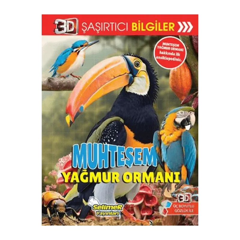 3D Şaşırtıcı Bilgiler - Muhteşem Yağmur Ormanı