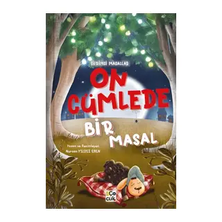 On Cümlede Bir Masal