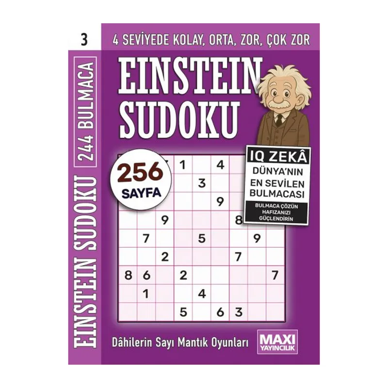 Einstein Sudoku 3