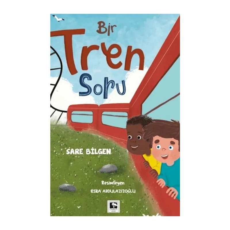 Bir Tren Soru