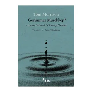 Görünmez Mürekkep Yazmayı Okumak / Okumayı Yazmak