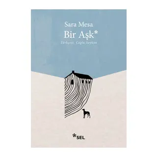 Bir Aşk