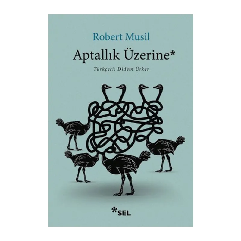 Aptallık Üzerine