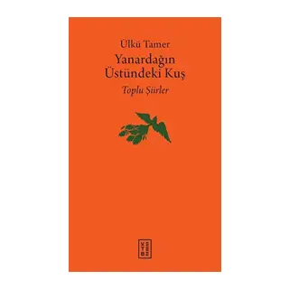Yanardağın Üstündeki Kuş