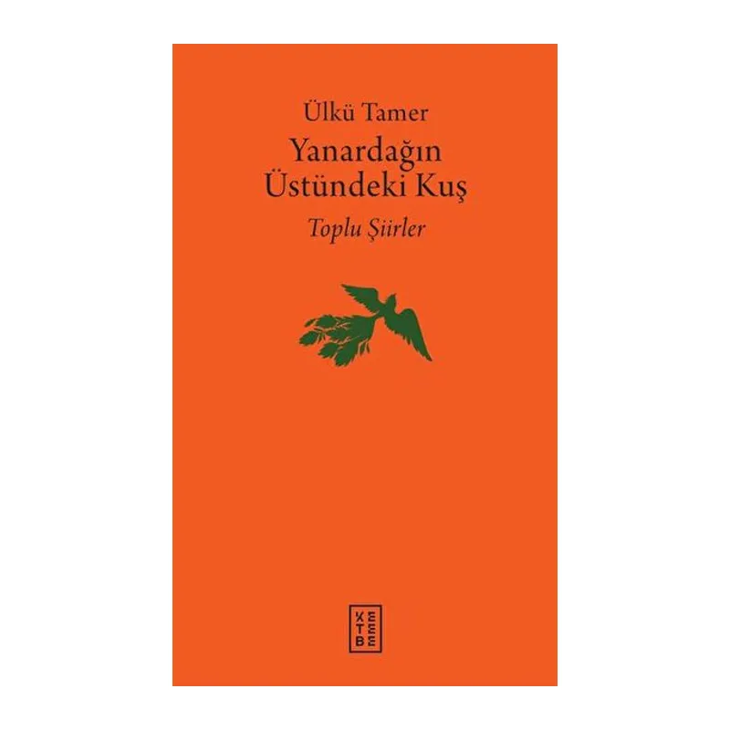 Yanardağın Üstündeki Kuş
