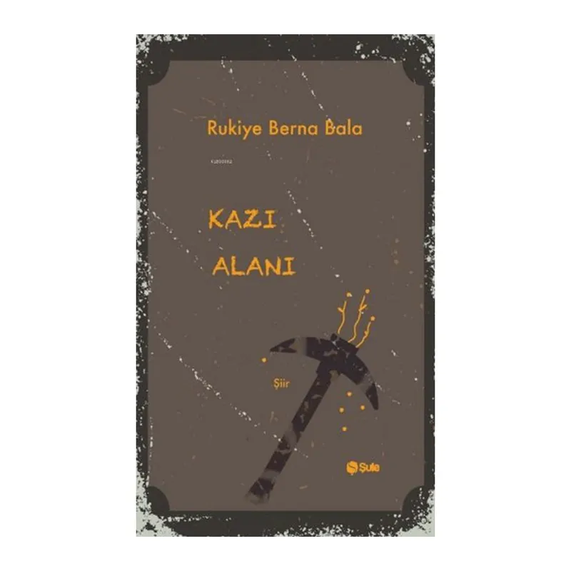 Kazı Alanı