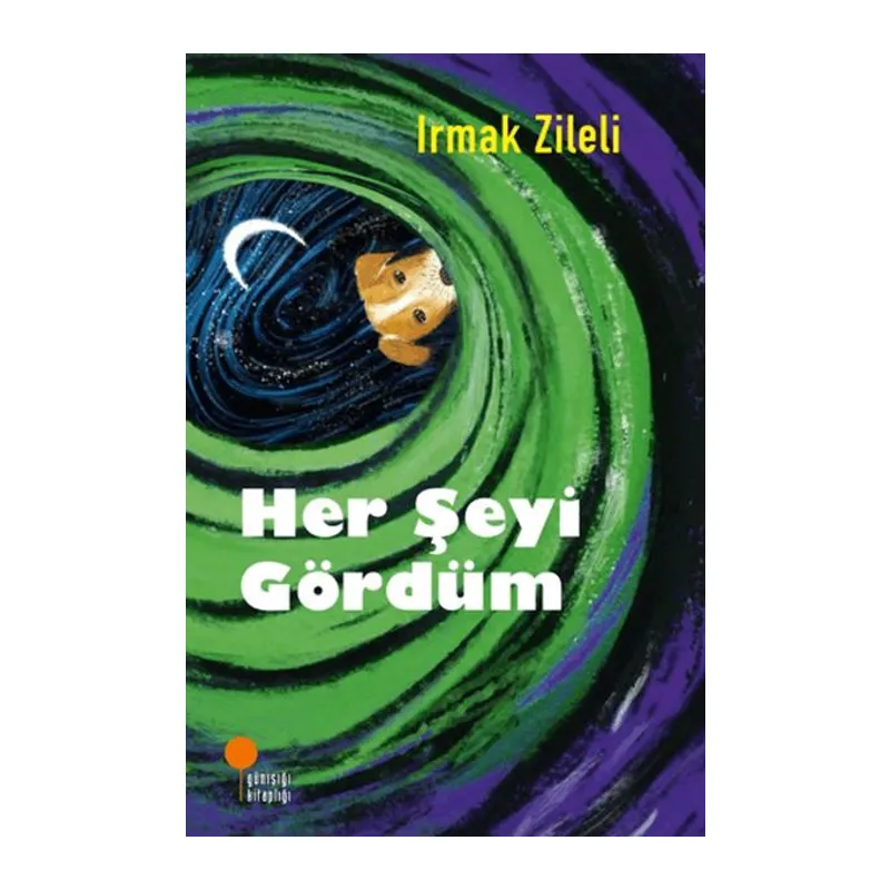 Her Şeyi Gördüm