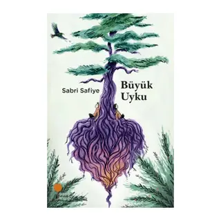 Büyük Uyku