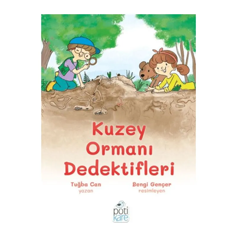 Kuzey Ormanı Dedektifleri