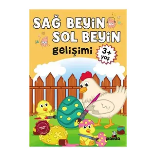3 Yaş Sağ Beyin-Sol Beyin Gelişimi
