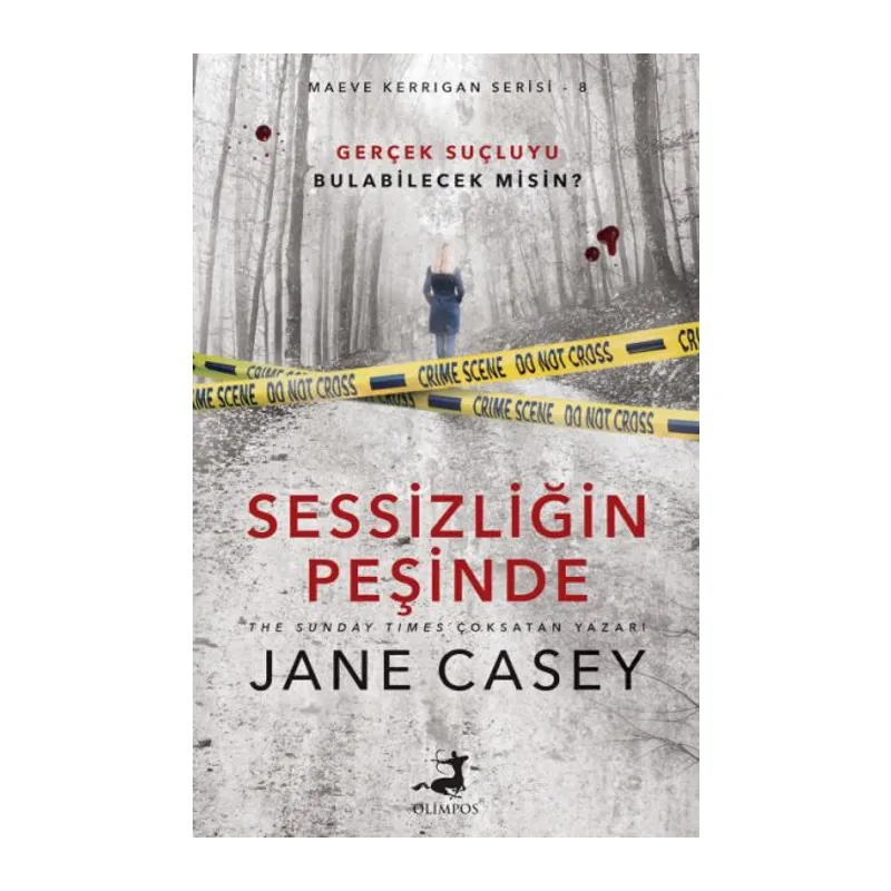 Sessizliğin Peşinde