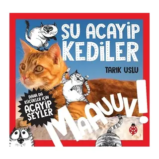 Daha Küçükler İçin Şu Acayip Kediler