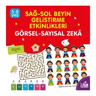 Sağ-Sol Beyin Geliştirme Etkinlikleri - Görsel-Sayısal Zeka