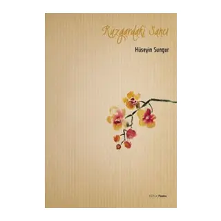 Rüzgardaki Sancı