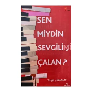 Sen miydin Sevgilimi Çalan?