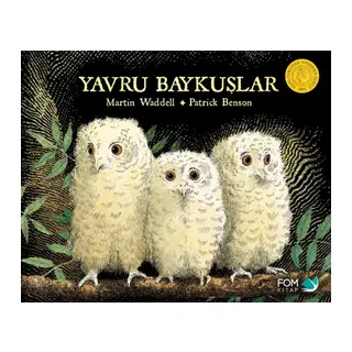 Yavru Baykuşlar
