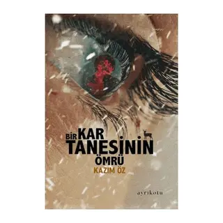 Bir Kar Tanesinin Ömrü