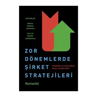 Zor Dönemlerde Şirket Stratejileri Pandemi ve Krizlerle Başa Çıkabilmek