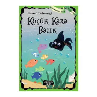 Küçük Kara Balık