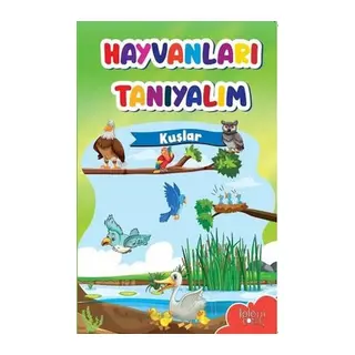 Muhteşem Çizimler ve Kolay Anlatım ile Hayvanları Tanıyalım Kuşlar