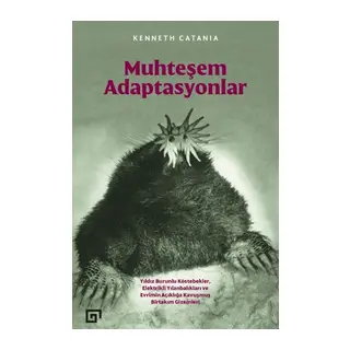 Muhteşem Adaptasyonlar