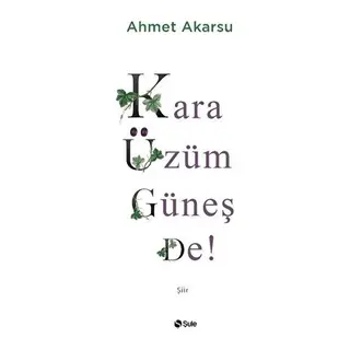 Kara Üzüm Güneş De