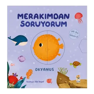 Merakımdan Soruyorum - Okyanus