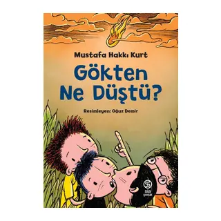 Gökten Ne Düştü?
